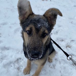 Meet your Posher, Kayla